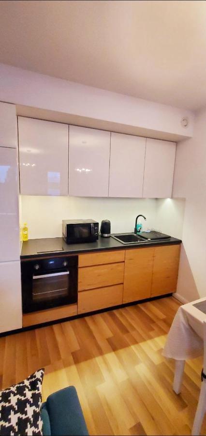 Dworska Studio Apartment Krasków Eksteriør bilde